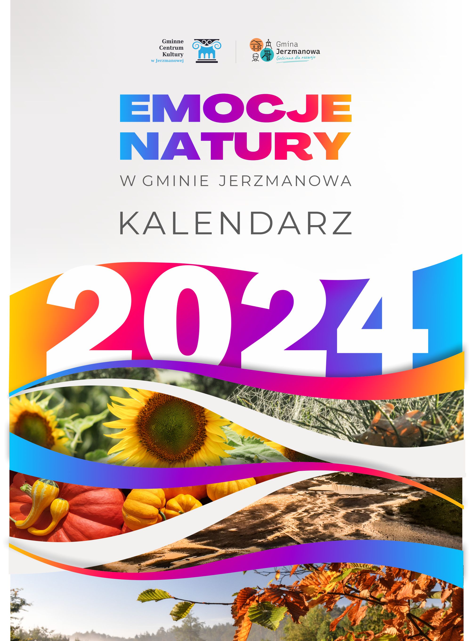 Zajęcia obrazek