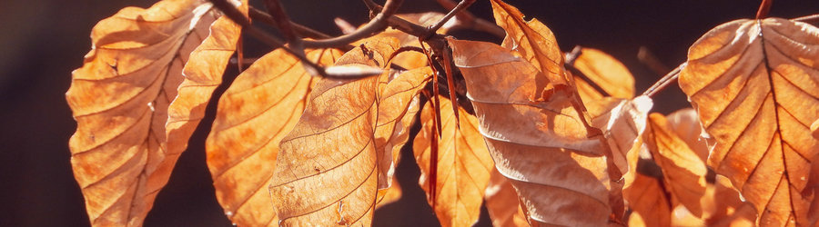 Natura w kadrze - wyniki konkursu