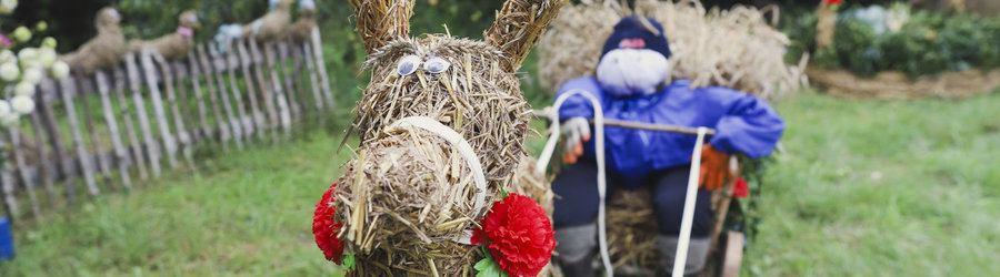 Najpiękniejsza Dożynkowa Dekoracja Posesji - KONKURS