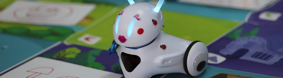 Szkolenie z obsługi robotów Photon w Bibliotece w Jerzmanowej