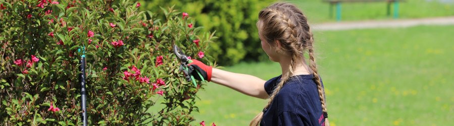 Wakacyjna praca dobiegła końca! 