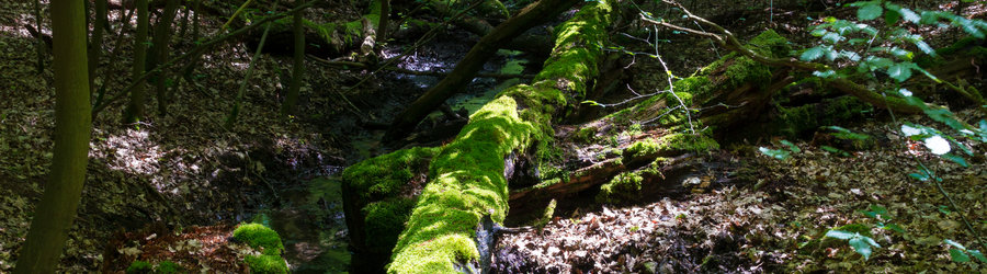 NATURA W KADRZE - konkurs fotograficzny 2021