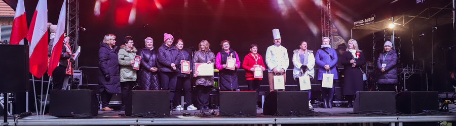 Narodowa gęś z pyrką w mundurze