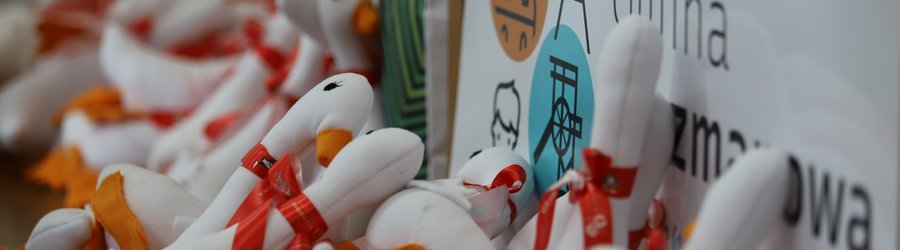 Konferencja prasowa przed Świętem Niepodległości i XIV Biegiem Gęsi