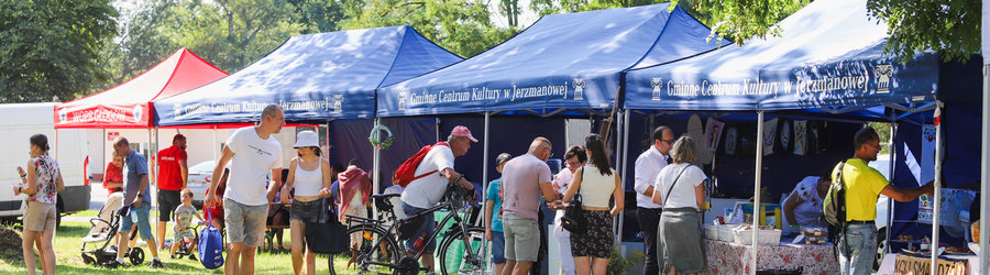 W Cieniu Kolegiaty - promocyjny udział w wydarzeniu