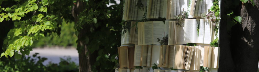 Zaczytani w parku przy fontannie – Tydzień Bibliotek 2025