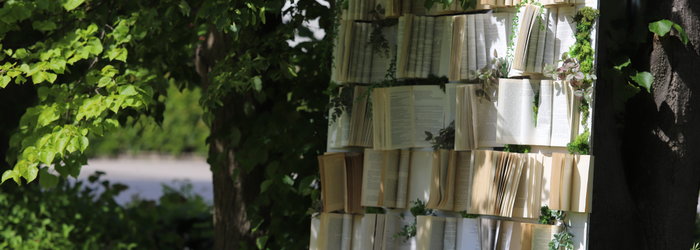 Zaczytani w parku przy fontannie – Tydzień Bibliotek 2025